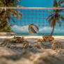 Crabs playing volleyball on sandy beach