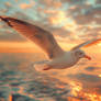 Seagull flies over sea. Free wallpaper