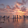 3d word Hi on seashore, near seagulls