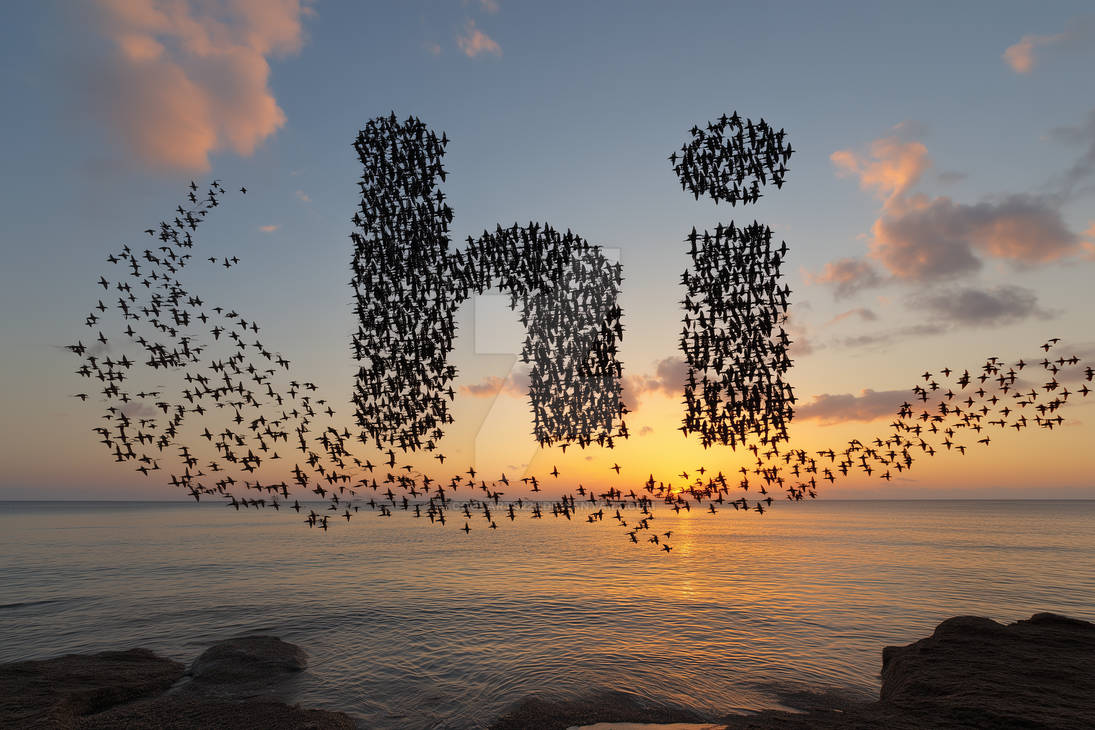 Word Flock Word Hi made of birds flock, flying over sea by Coolarts223 on DeviantArt