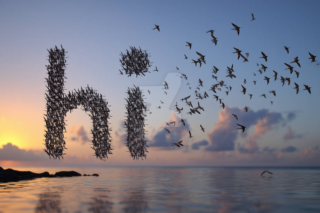 Word Flock Word Hi made of birds flock, flying over sea by Coolarts223 on DeviantArt