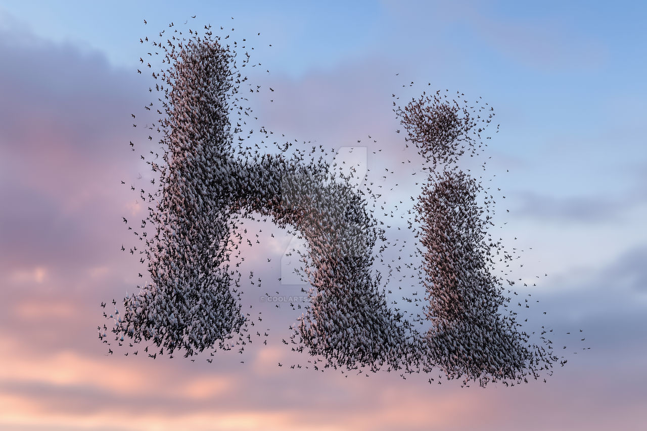 Word Hi made of birds flock, flying over sea