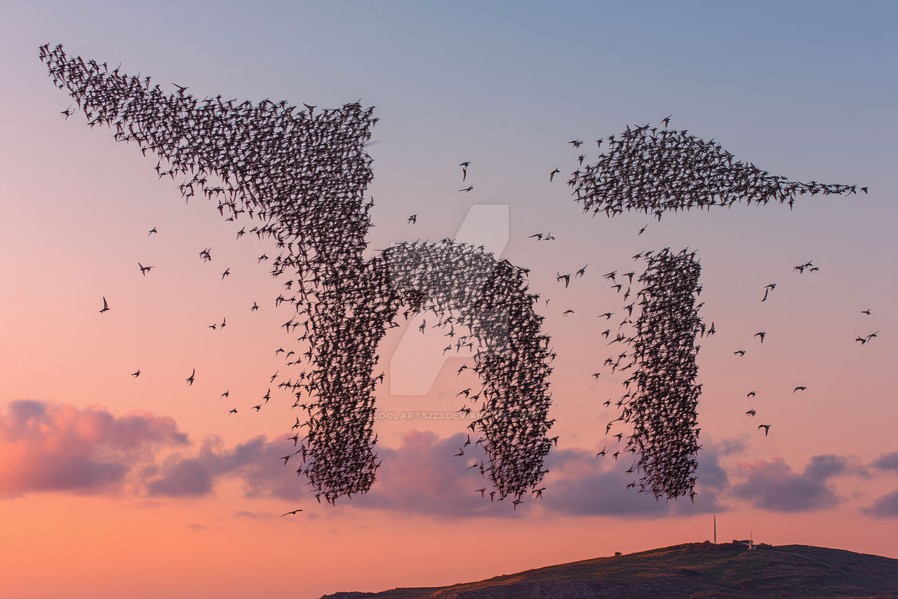 Word Hi made of birds flock, flying over sea