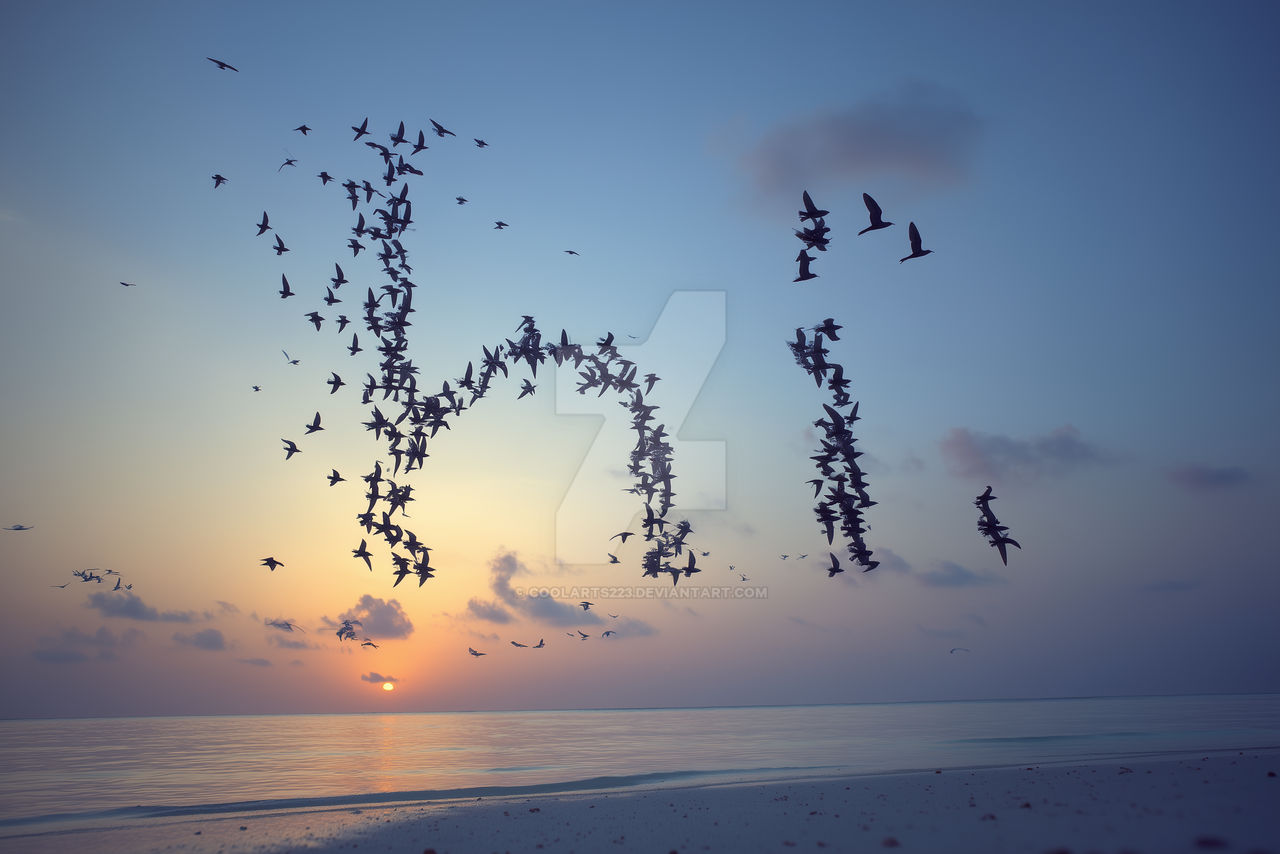 Word Flock Word Hi made of birds flock, flying over sea by Coolarts223 on DeviantArt