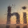 Word Hi made of birds flock, flying over sea