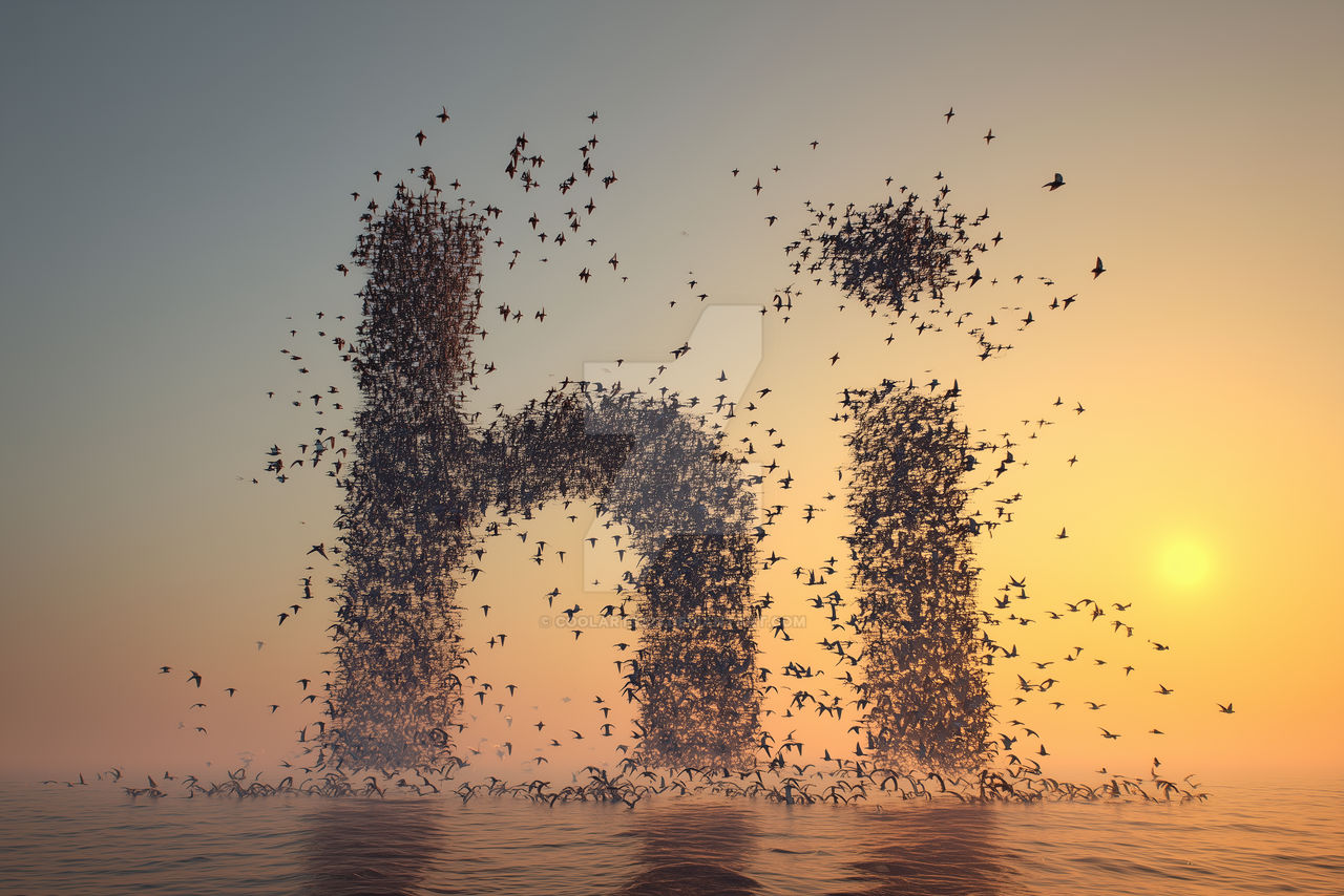 Word Flock Word Hi made of birds flock, flying over sea by Coolarts223 on DeviantArt