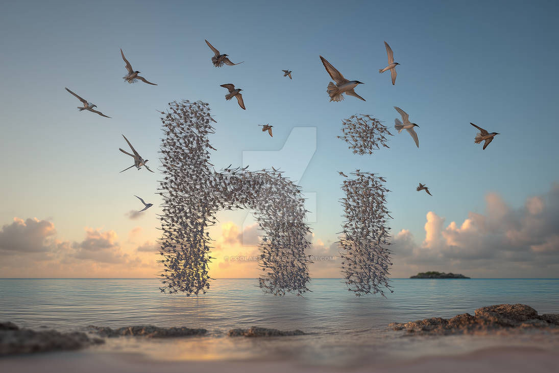 Word Flock Word Hi made of birds flock, flying over sea by Coolarts223 on DeviantArt
