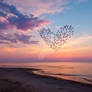 Flock of birds in shape of heart, flying over sea