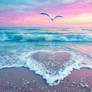 Heart shape made of sea foam. Seagull flies over