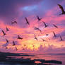 Pterodactyls or frigates birds fly over sea
