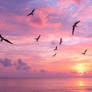 Pterodactyls or frigates birds fly over sea