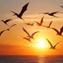 Pterodactyls or frigates birds fly over sea
