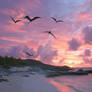 Pterodactyls or frigates birds fly over sea