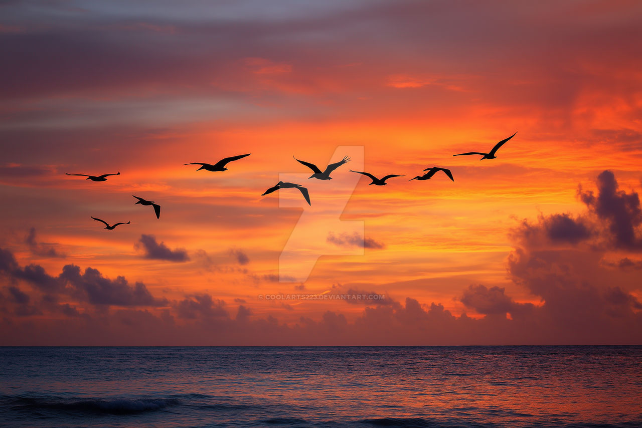 Pterodactyls or frigates birds fly over sea