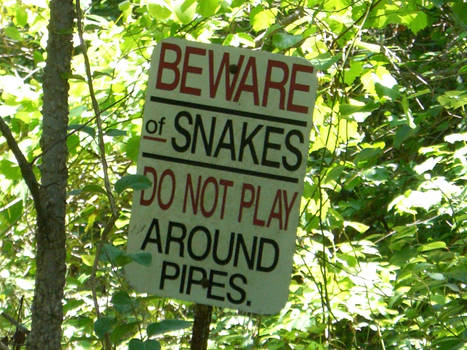 Do not play around pipes