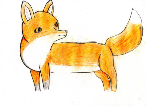 Red Fox