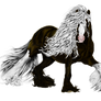 Silver Dapple Gypsy Vanner