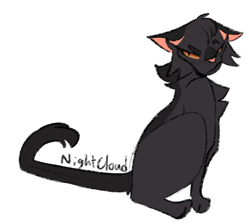 Nightcloud by OtterDesigns on DeviantArt