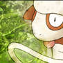 Smeargle Signature