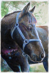 Nebula horse