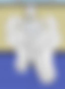 Wii Fit Trainer Feet