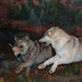 Alaskan Tundra Wolves 2