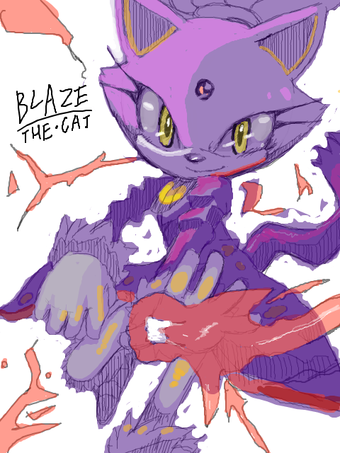 Blaze The Cat