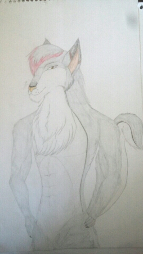 Mauroon the Wolf
