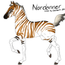 Zebra Design