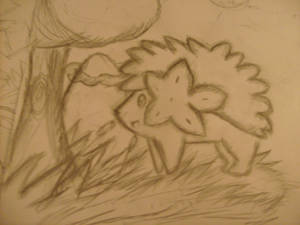 Shaymin