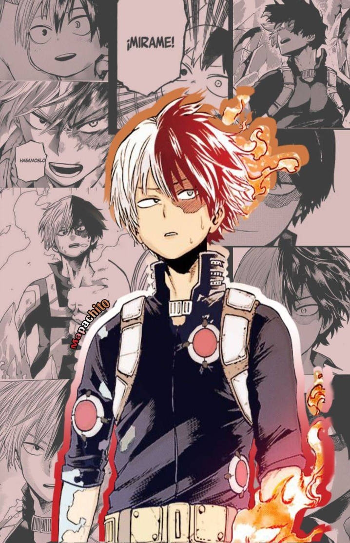 Todoroki Shoto - Boku no hero academia by Mapachitootaku on DeviantArt