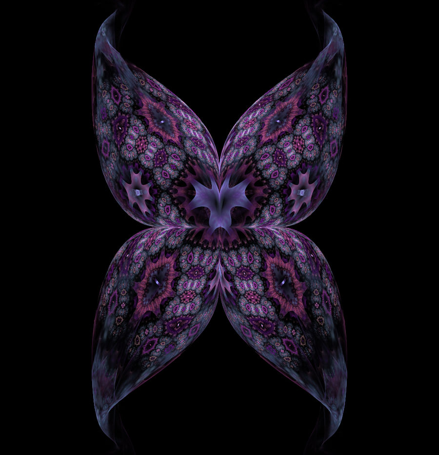 Nightwing butterfly 2