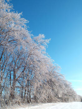 Wall of Ice