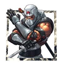 StormShadow