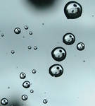 Rain Drops with a Picture by Insanityisthefuture