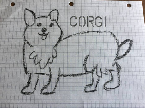 Dog drawing