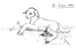 Little Lamb by Jianre-M