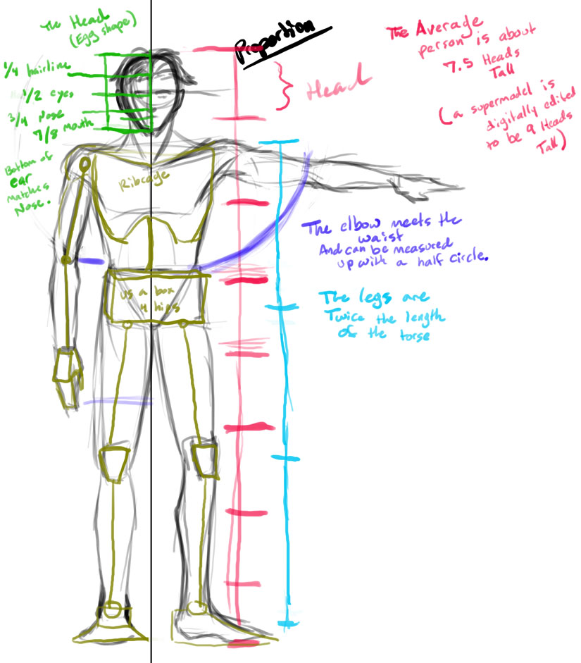 Proportion Reference