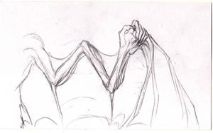 Wing Concept for Saisasori