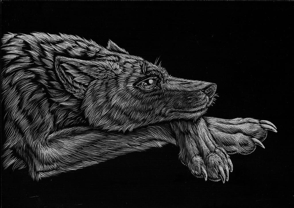 Wolf Character - Scratchboard by Jianre-M