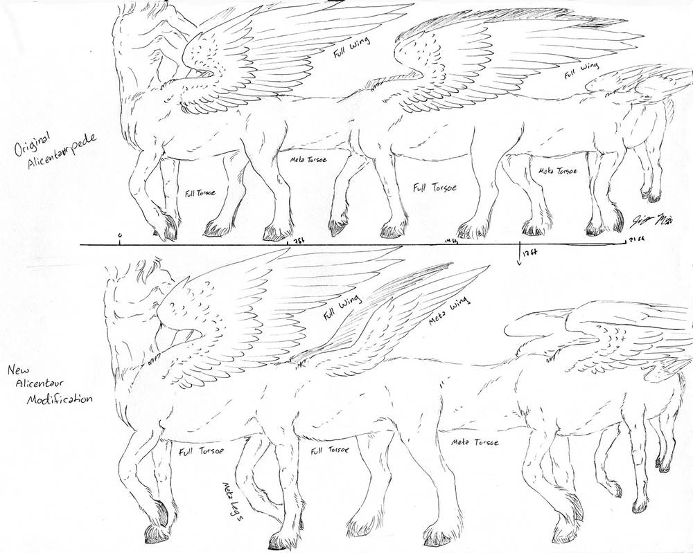 Alicentaur Redesign Comparison - Commission by Jianre-M