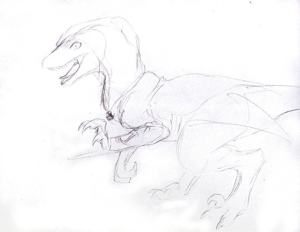Sketch Request - Assassin Raptor by Jianre-M
