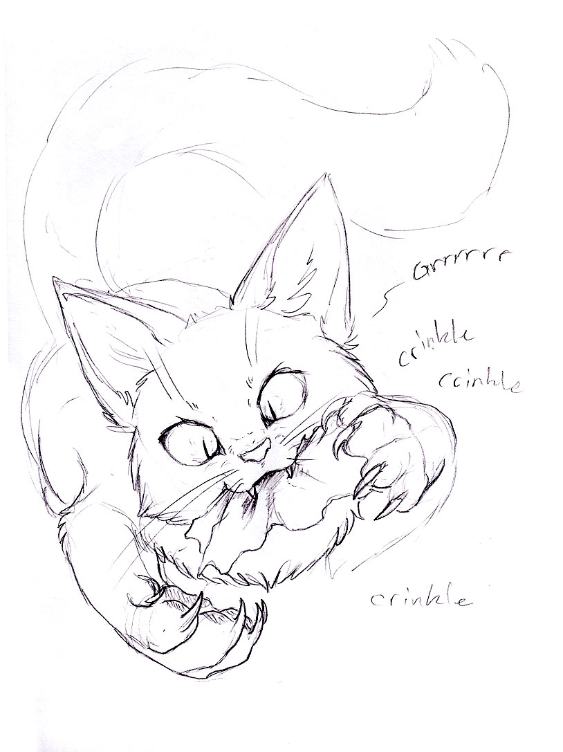 Sketch Request - Crazy Face Cat by Jianre-M