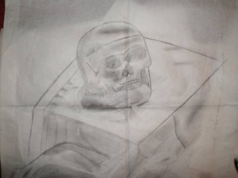 Skull sketch.