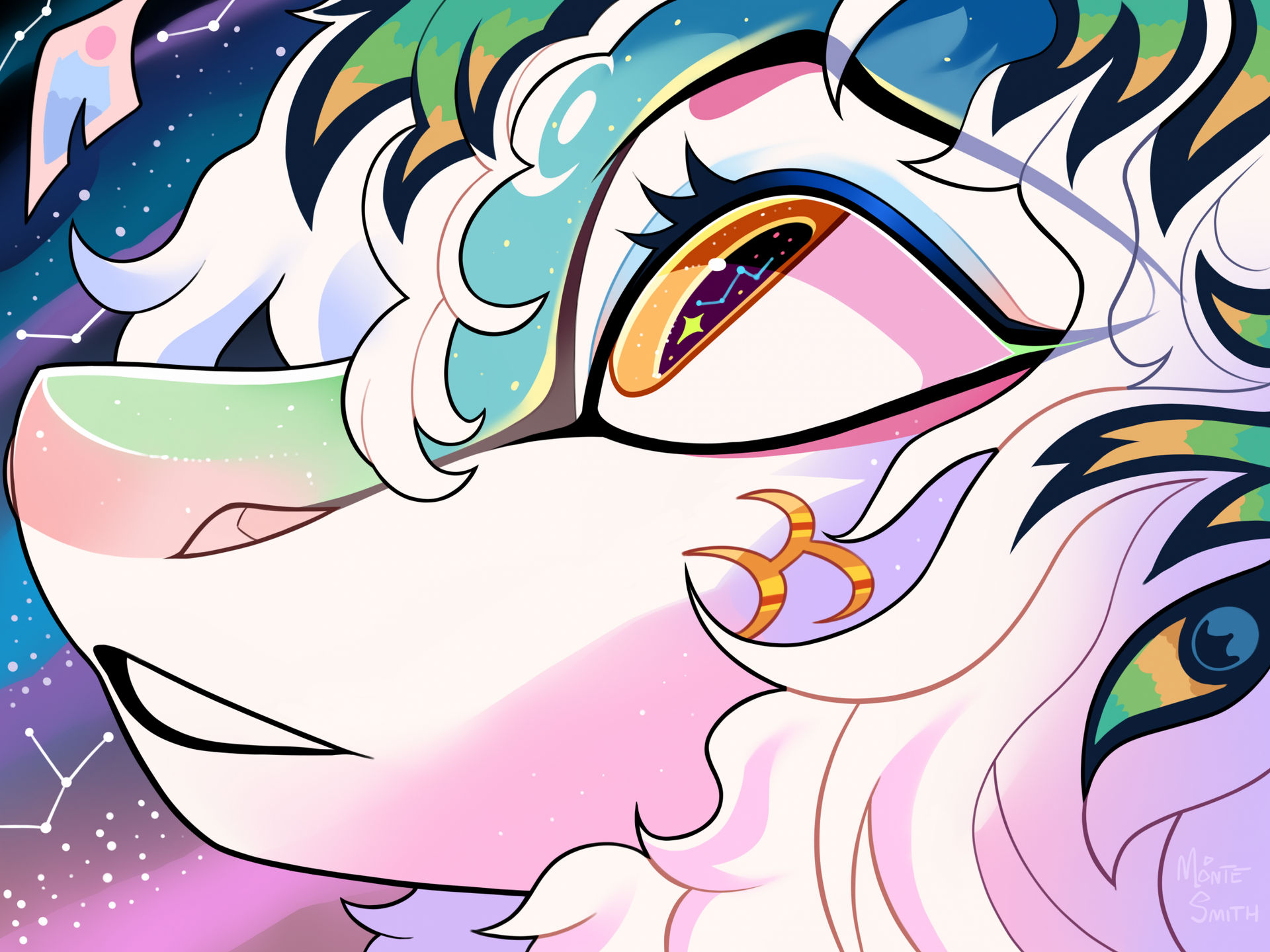 stargazer