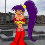 Shantae From The Game Shantae