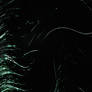Grass in the wind