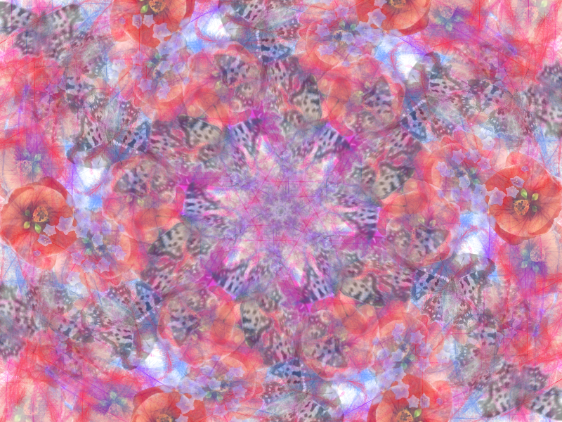 i was a Kaleidoscope.