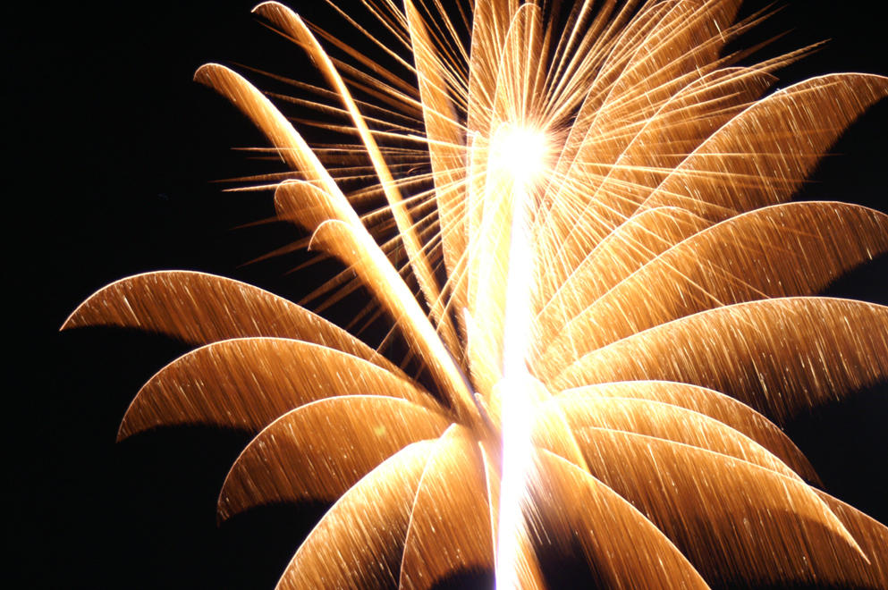 Another Exploding Palm Tree by Kuffara on DeviantArt