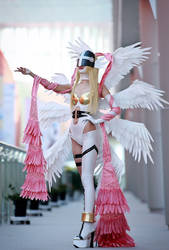 Digimon Adventure - Angewomon #1